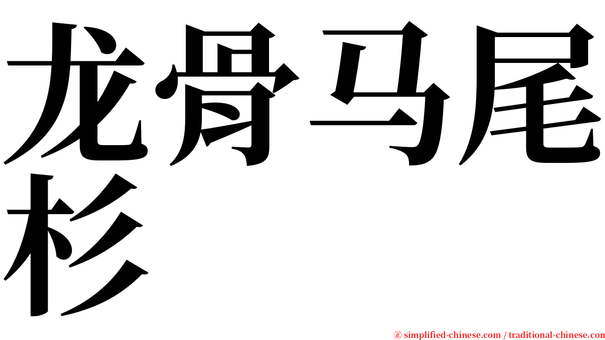 龙骨马尾杉 serif font