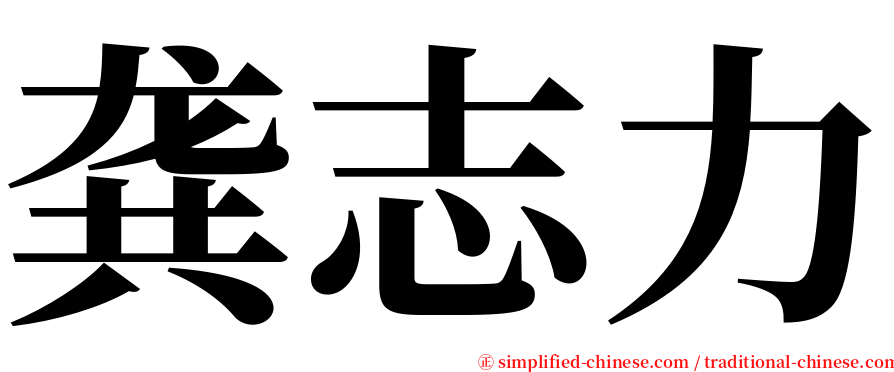 龚志力 serif font