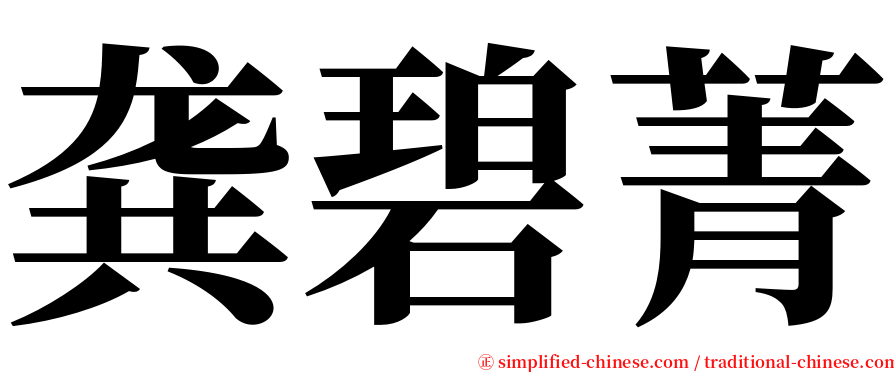 龚碧菁 serif font