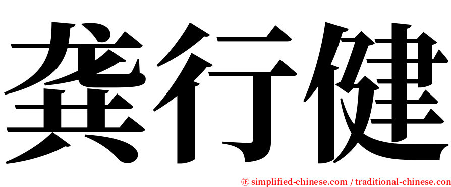 龚行健 serif font