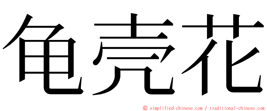 龟壳花 ming font