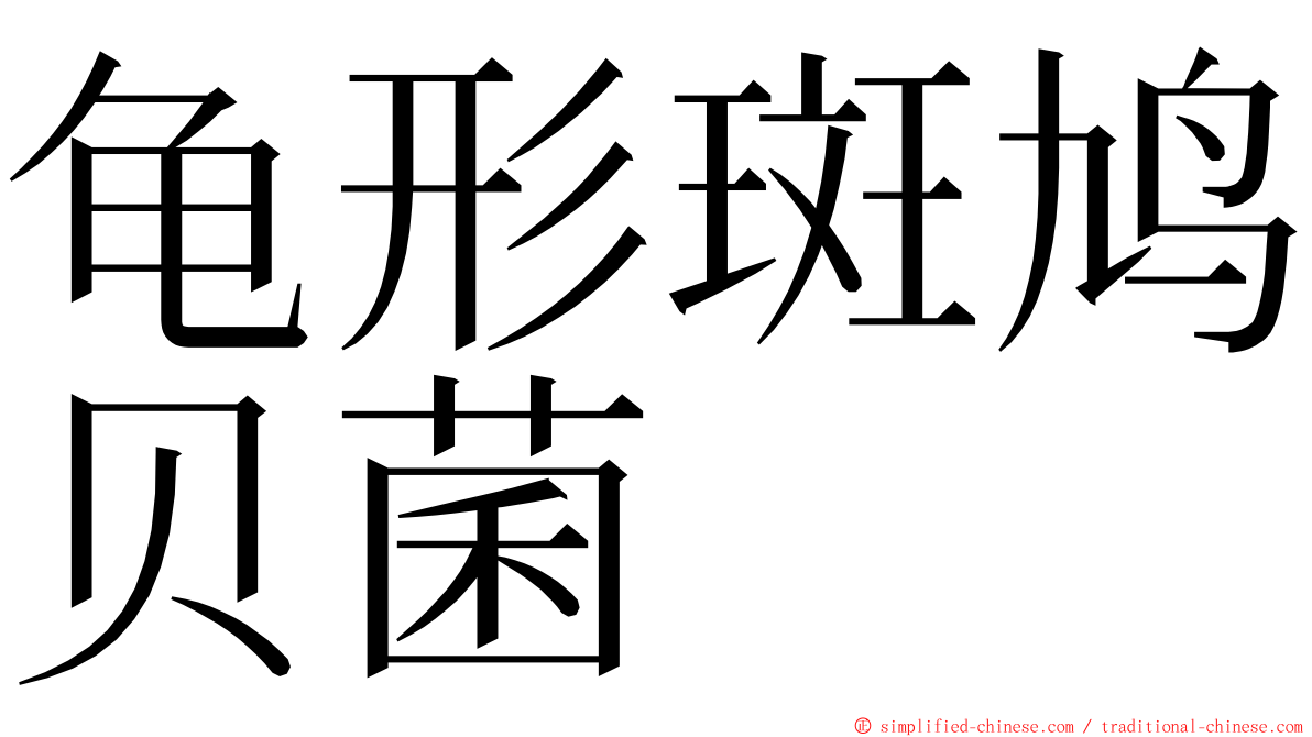 龟形斑鸠贝菌 ming font