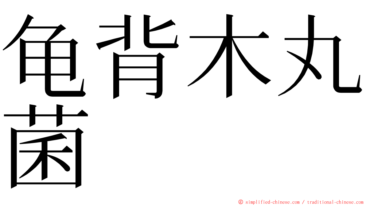 龟背木丸菌 ming font