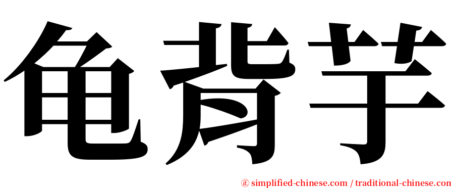 龟背芋 serif font