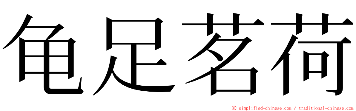 龟足茗荷 ming font
