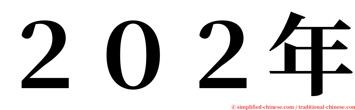 ２０２年 serif font