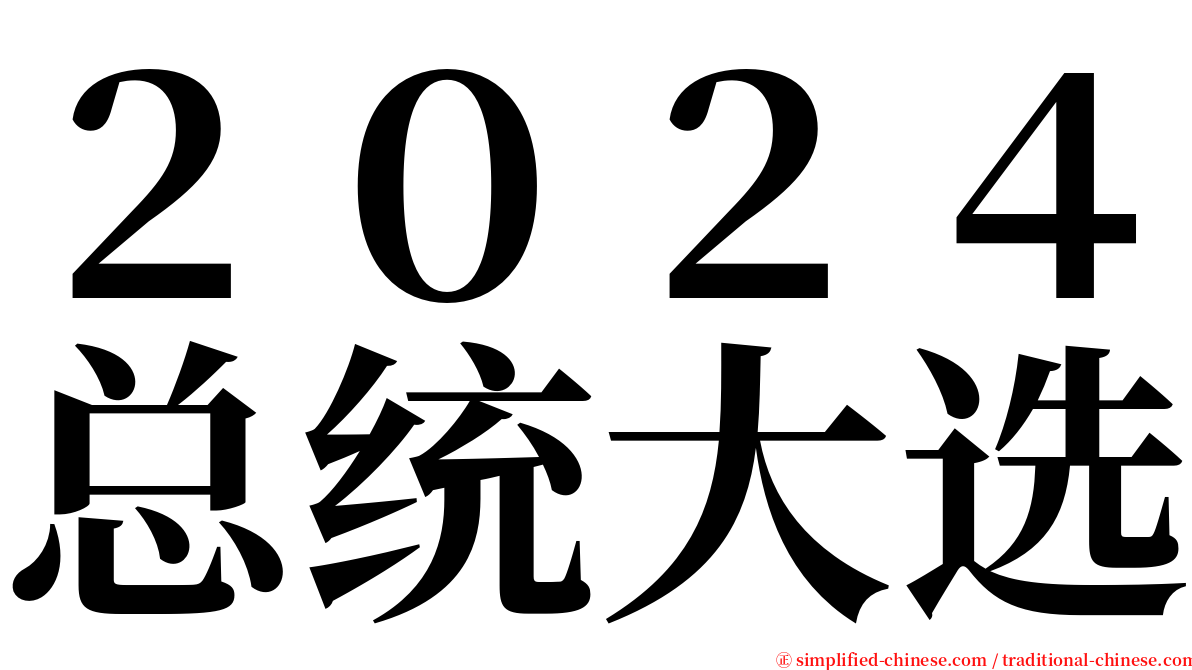 ２０２４总统大选 serif font