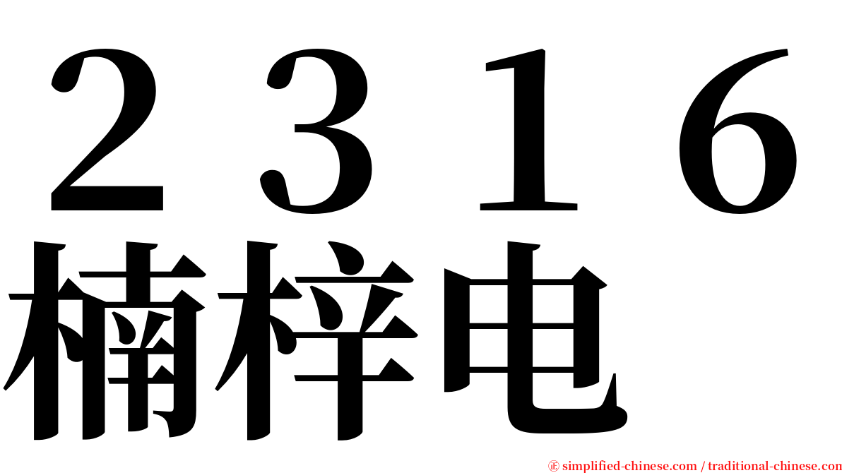 ２３１６楠梓电 serif font