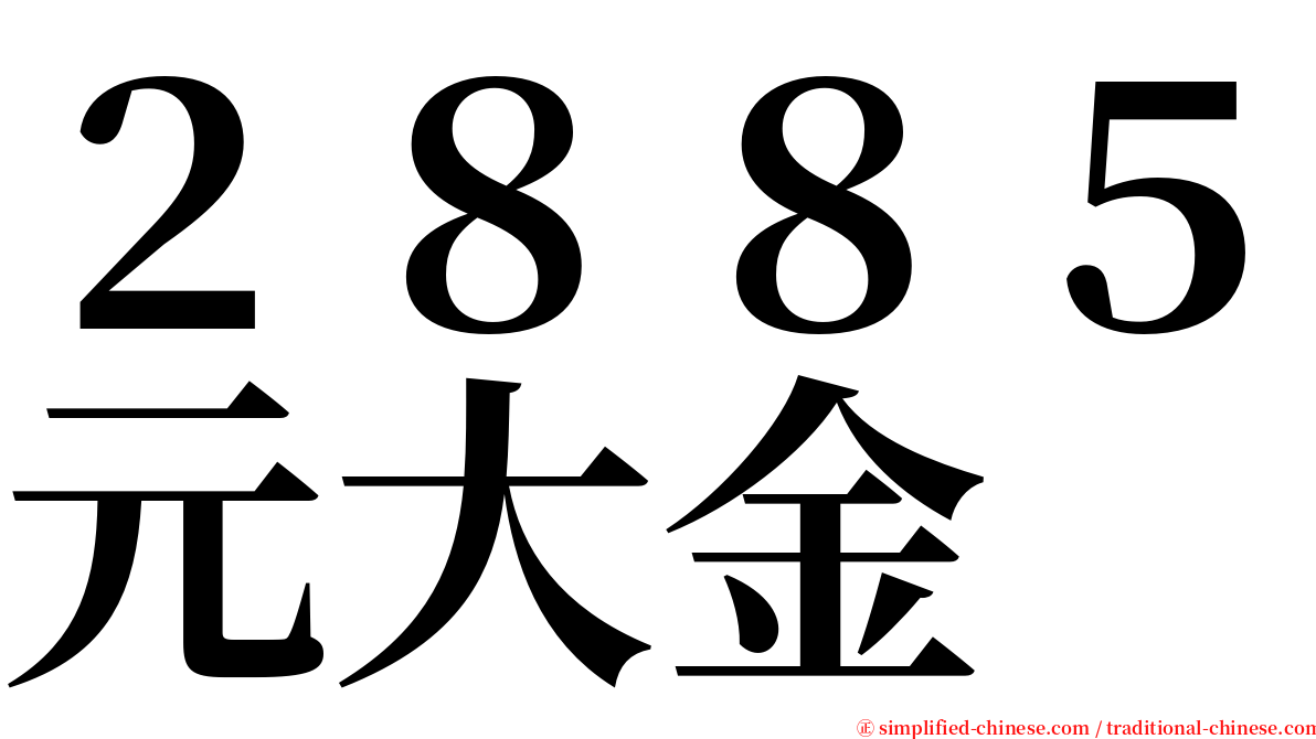 ２８８５元大金 serif font