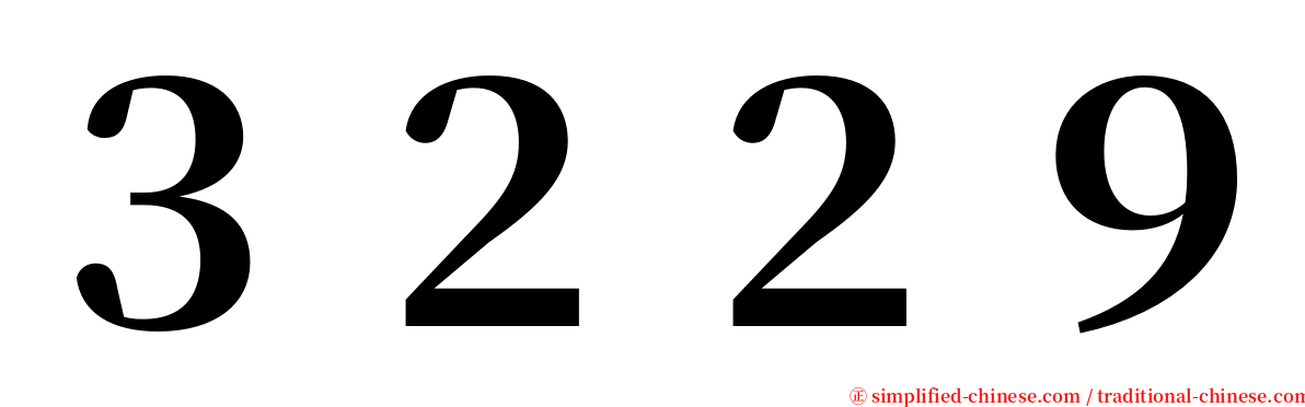 ３２２９ serif font