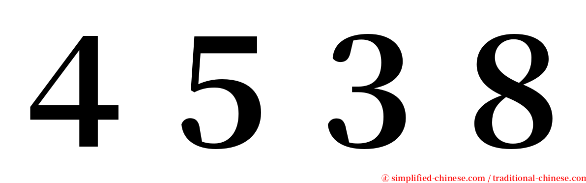 ４５３８ serif font