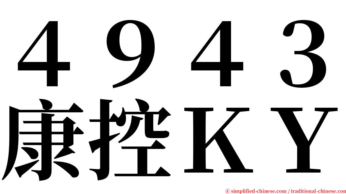 ４９４３康控ＫＹ serif font