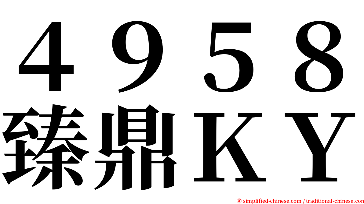 ４９５８臻鼎ＫＹ serif font