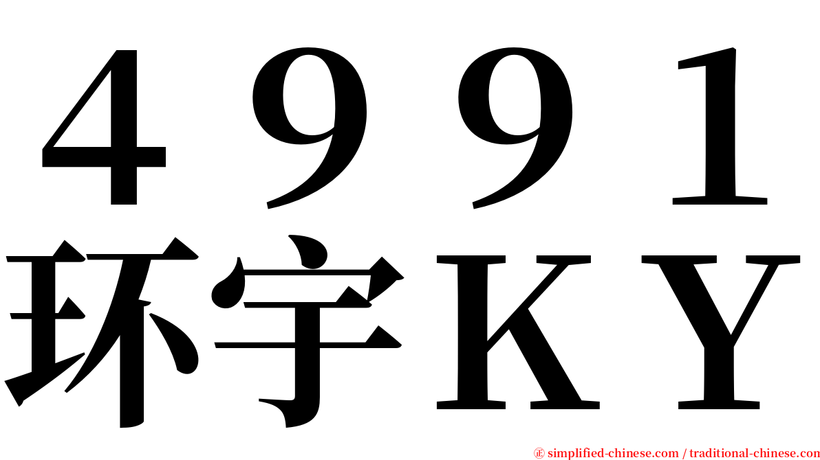 ４９９１环宇ＫＹ serif font