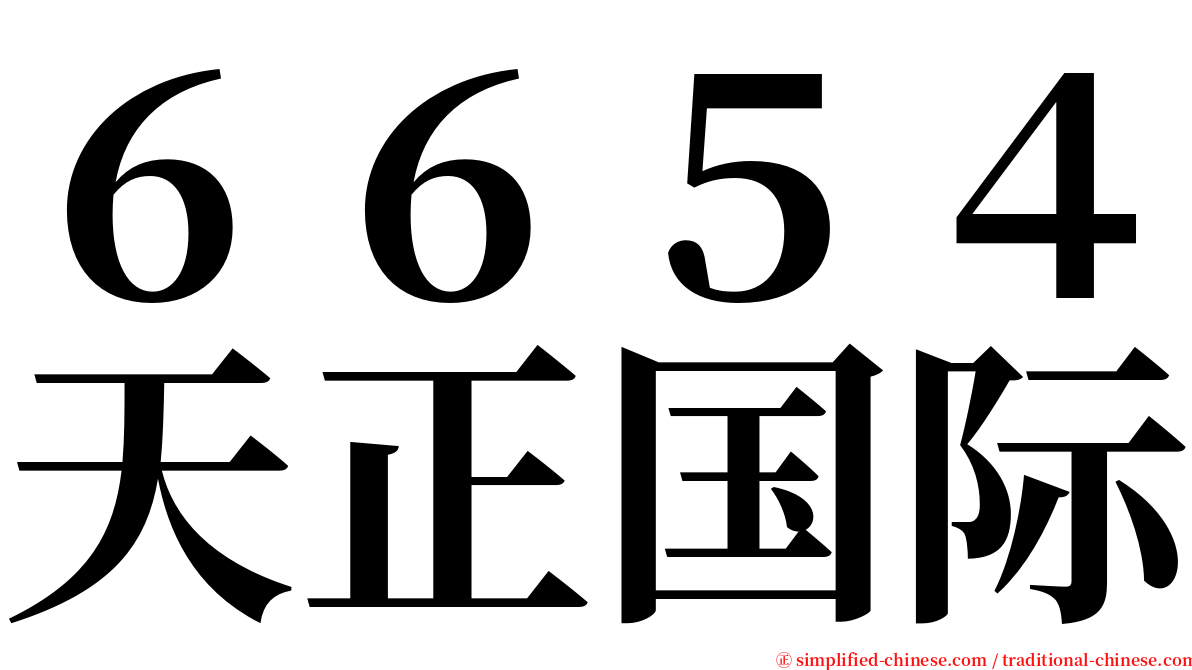 ６６５４天正国际 serif font