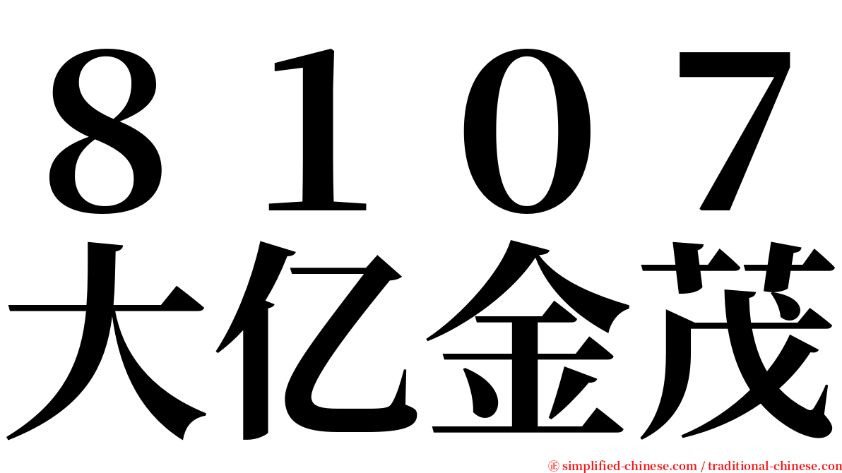 ８１０７大亿金茂 serif font