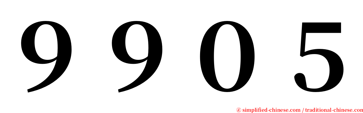 ９９０５ serif font