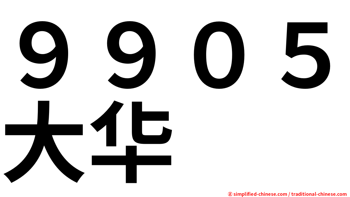 ９９０５大华