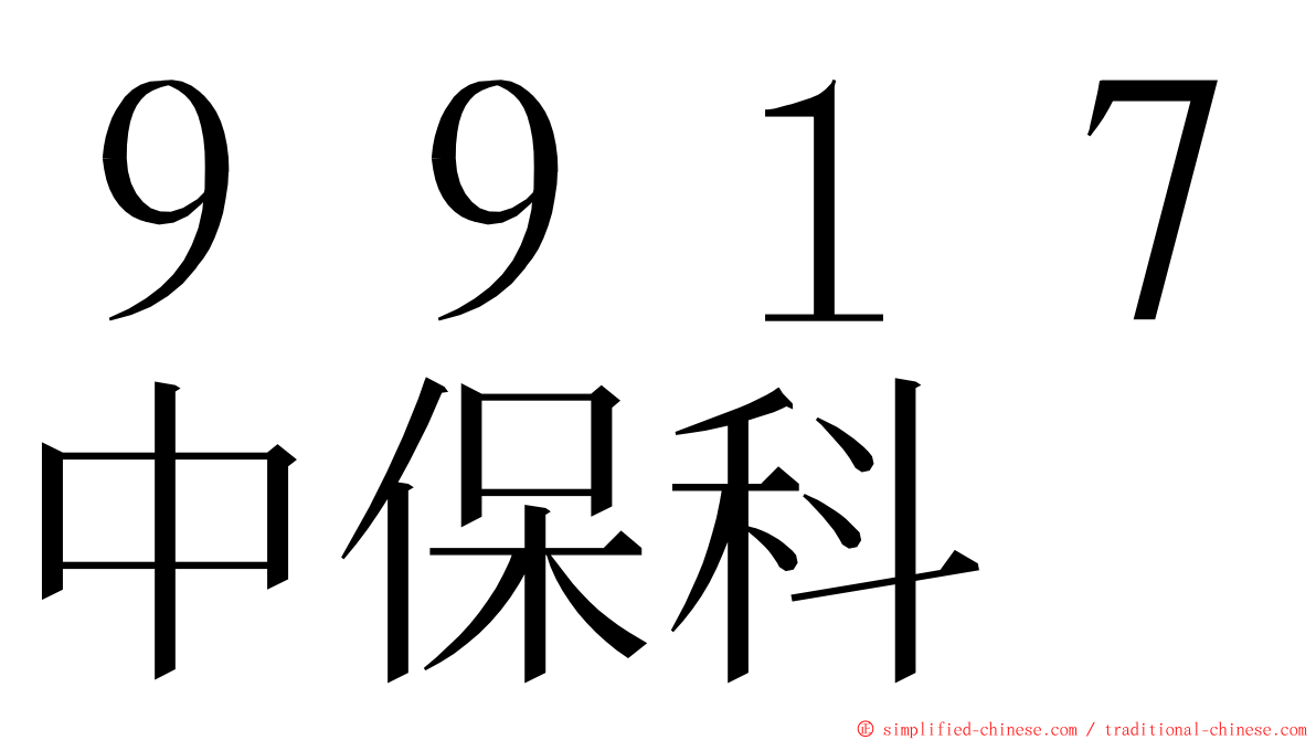 ９９１７中保科 ming font