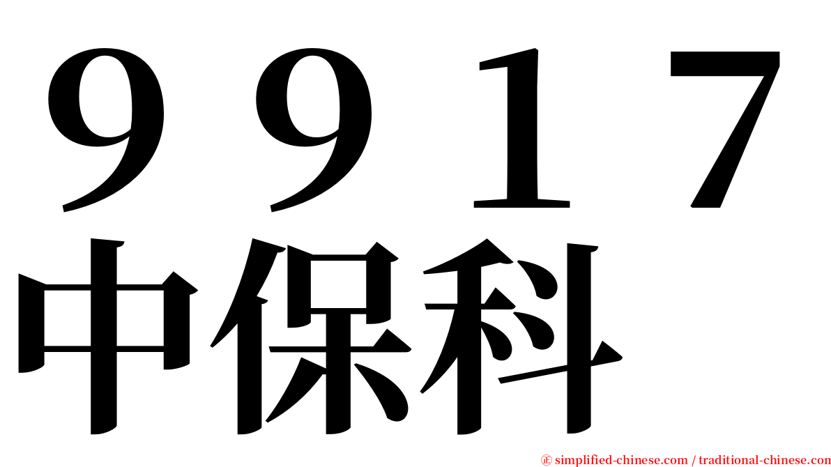 ９９１７中保科 serif font