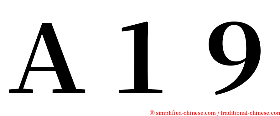 Ａ１９ serif font
