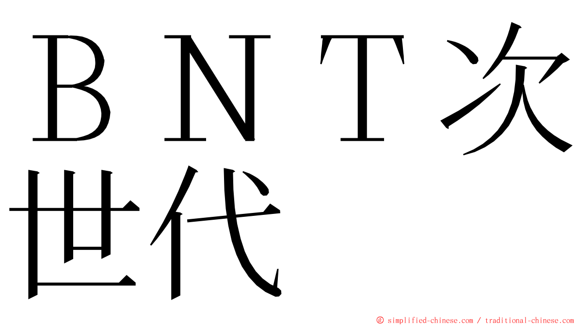 ＢＮＴ次世代 ming font