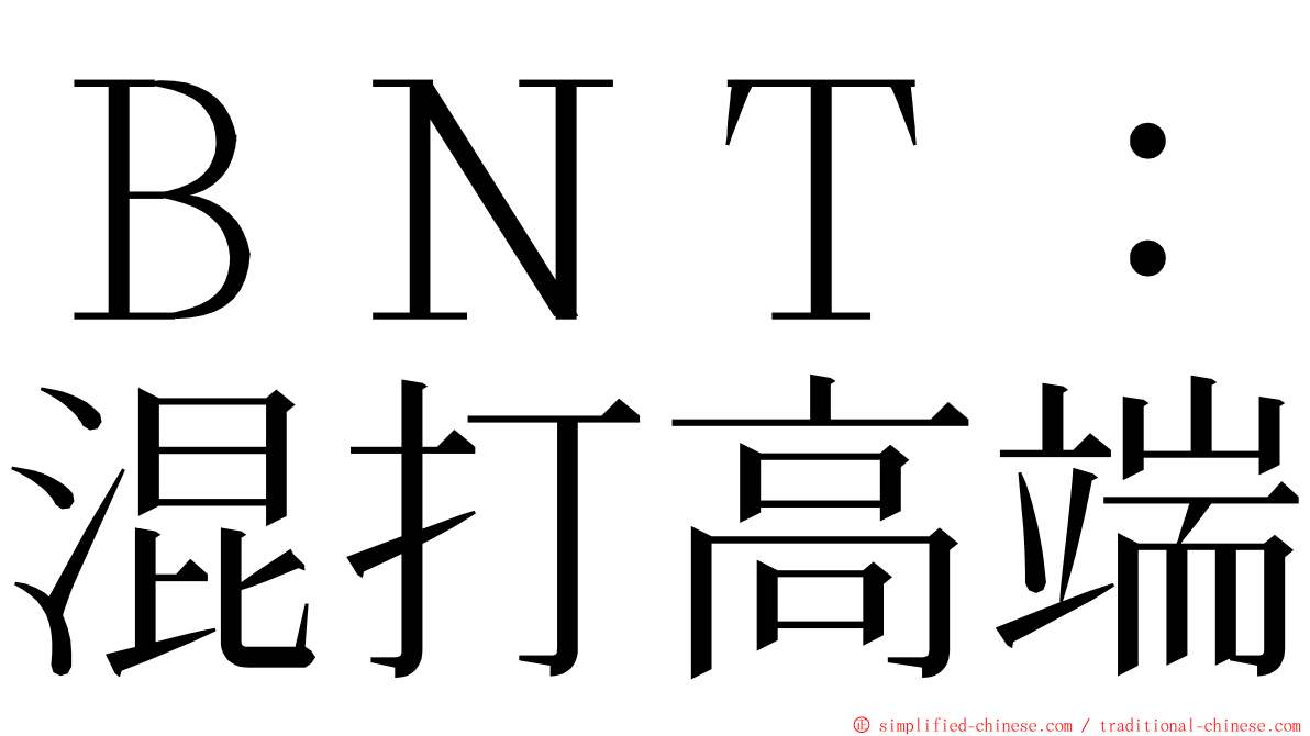 ＢＮＴ：混打高端 ming font