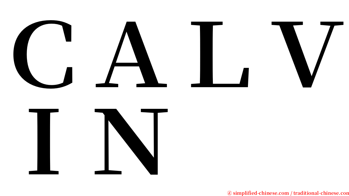 ＣＡＬＶＩＮ serif font