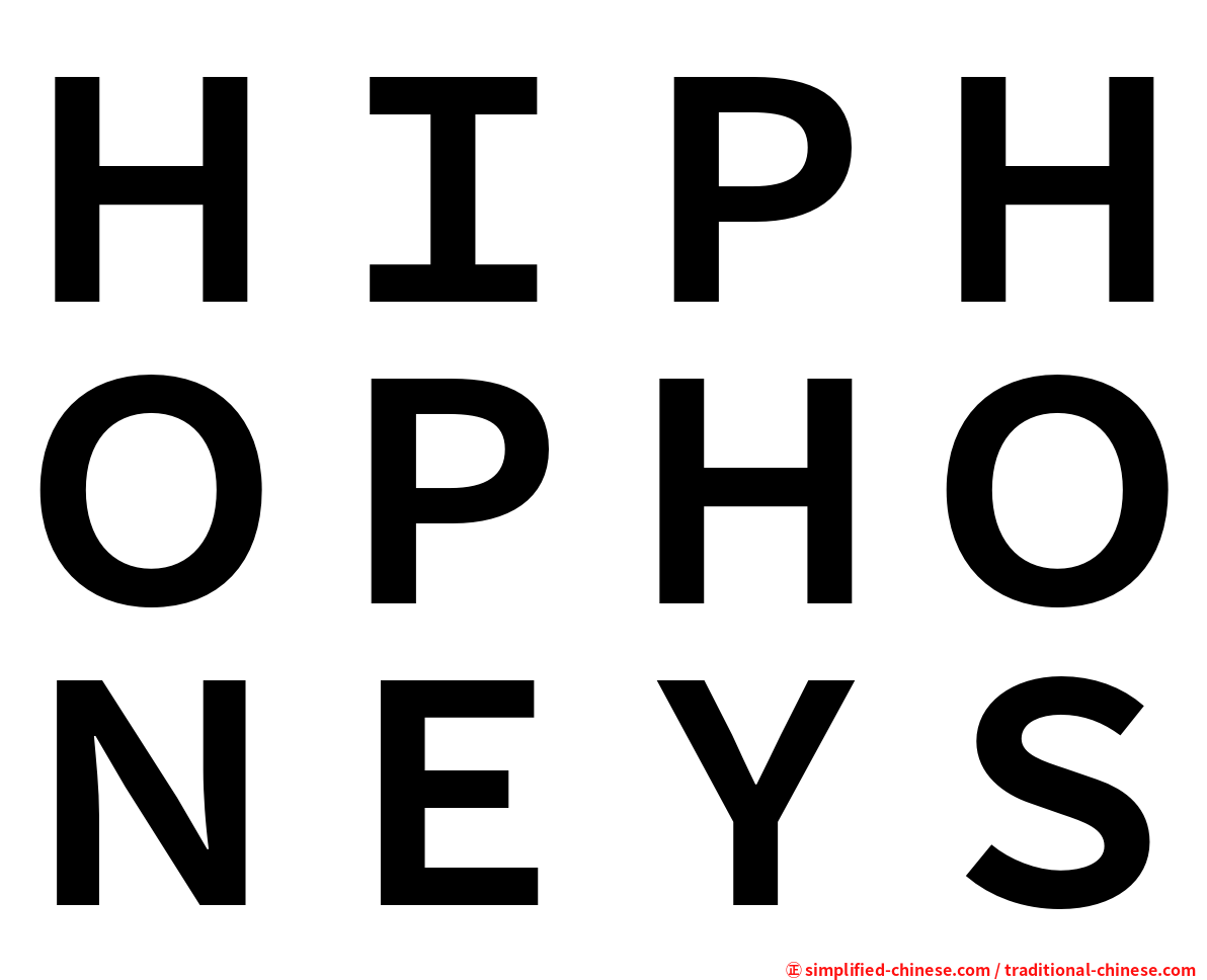 ＨＩＰＨＯＰＨＯＮＥＹＳ