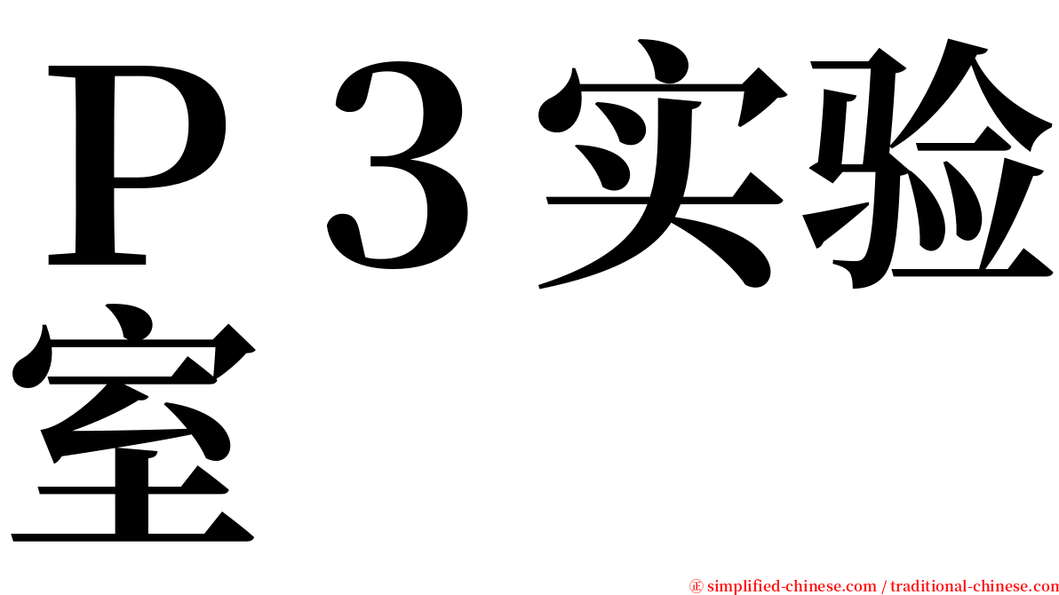 Ｐ３实验室 serif font