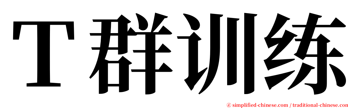 Ｔ群训练 serif font