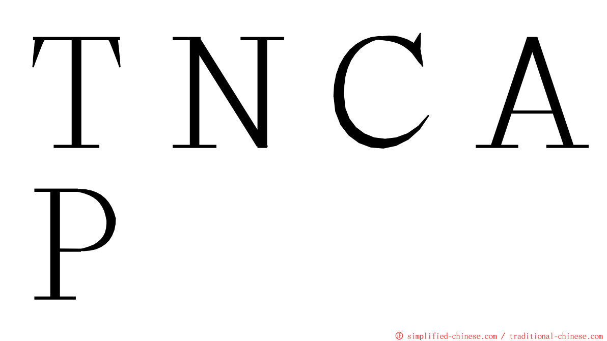 ＴＮＣＡＰ ming font